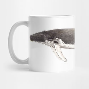 Humpback whale Megaptera novaeangliae Mug